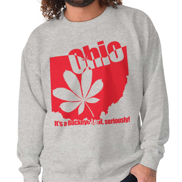 The Buckeye State Sweatshirt - Where I'm From