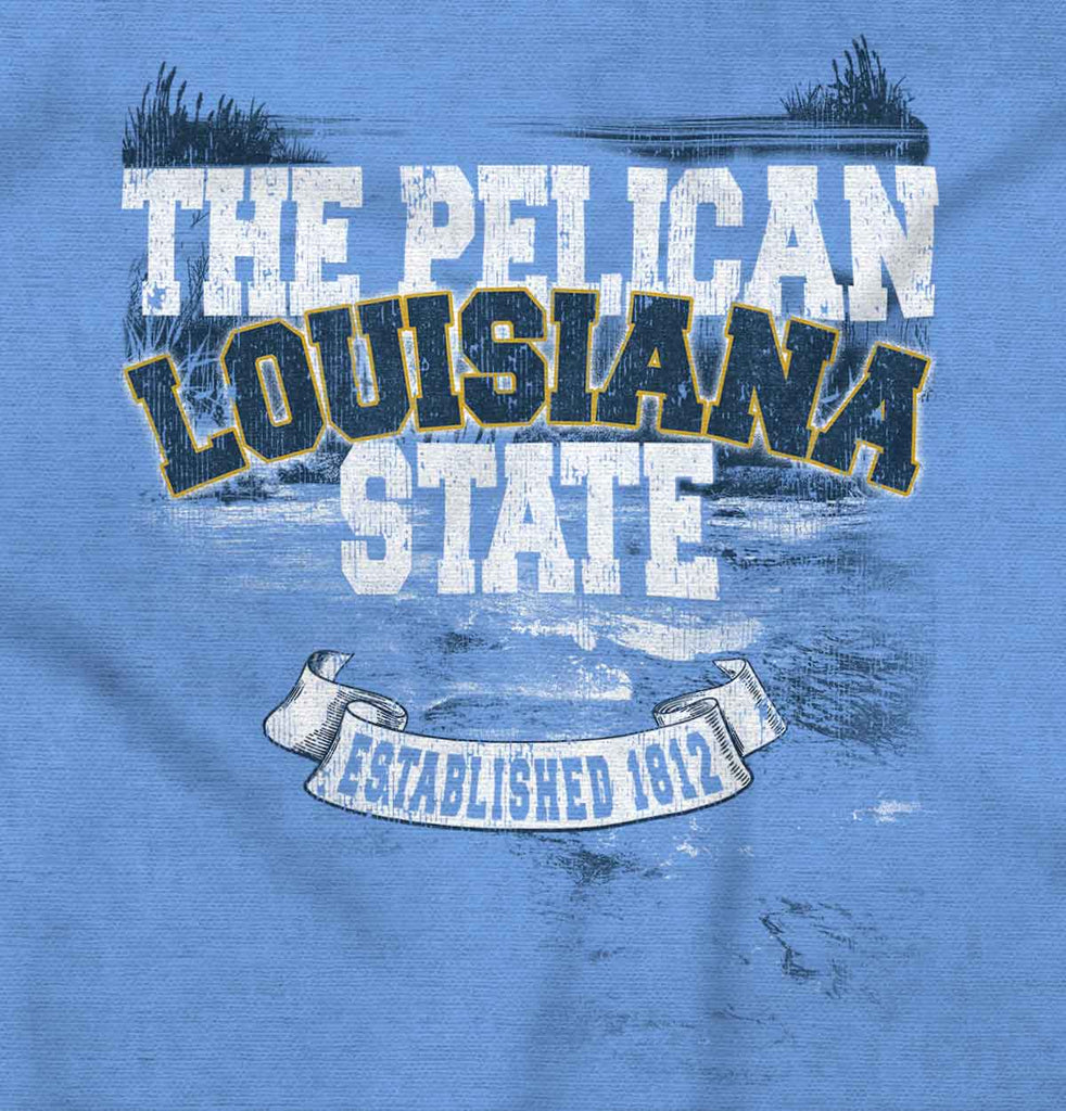 CarolinaBlueZoom |