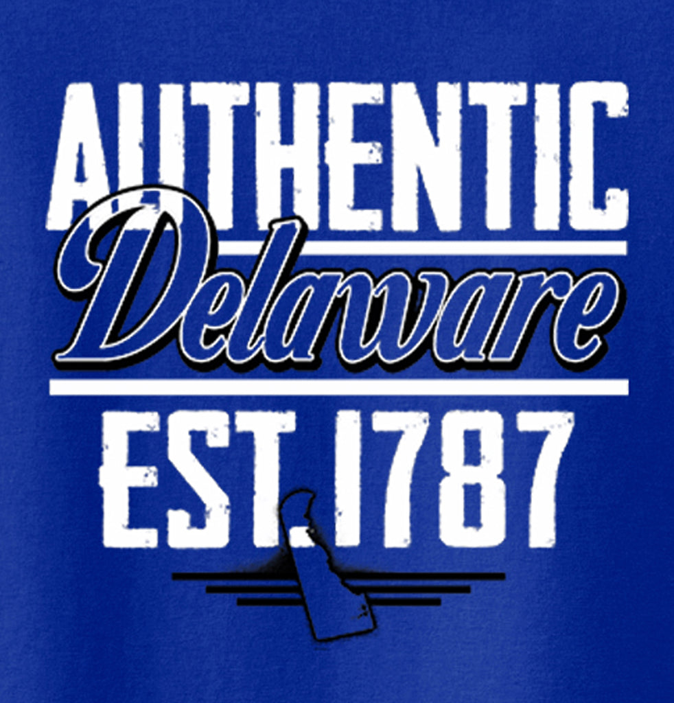 Delaware State - Map Printed Missy Fit T-Shirt