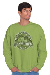 Male_Kiwi2 |