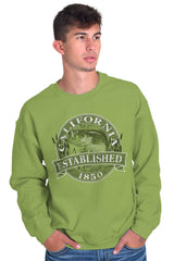 Male_Kiwi1 |