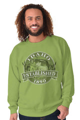 Male_Kiwi1 |