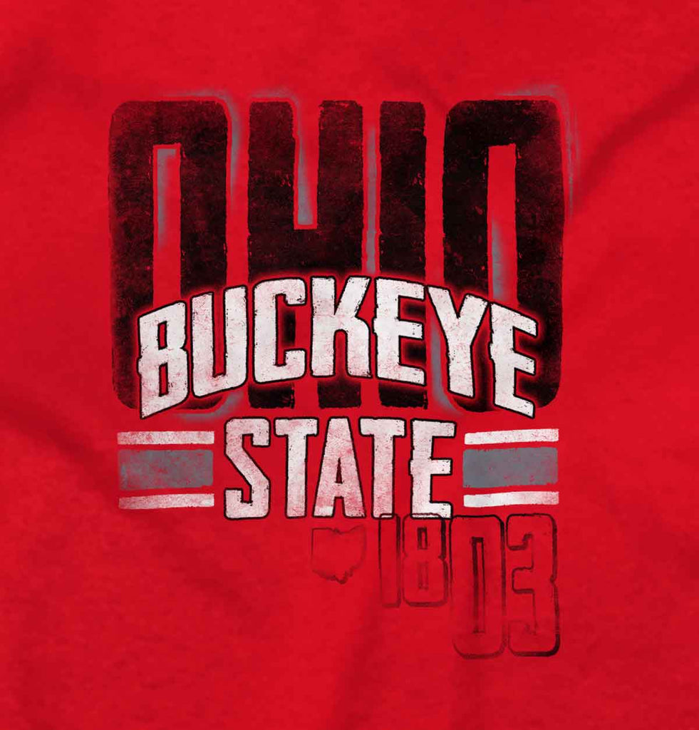 Ohio Buckeye State Ladies T-Shirt