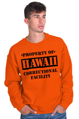 Male_Orange2 |