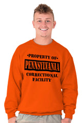 Male_Orange2 |