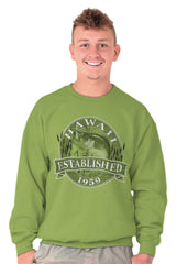 Male_Kiwi2 |