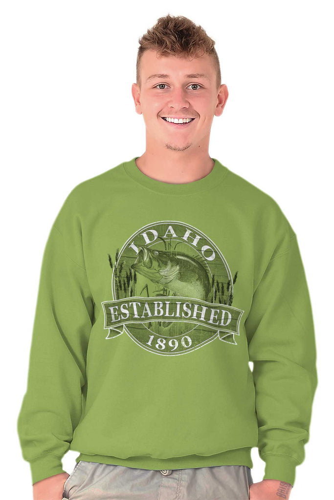 Male_Kiwi2 |