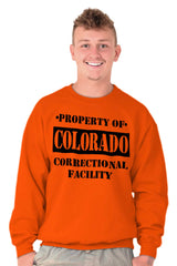 Male_Orange1 |