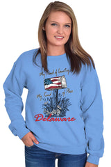 Female_CarolinaBlue3 |